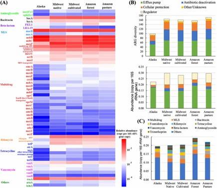 Fig 2. Diversity and abundance of ARGs in soils from three distinct ecosystems. (Qian et al., 2021)